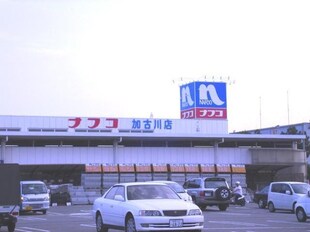 浜の宮駅 徒歩19分 1階の物件内観写真